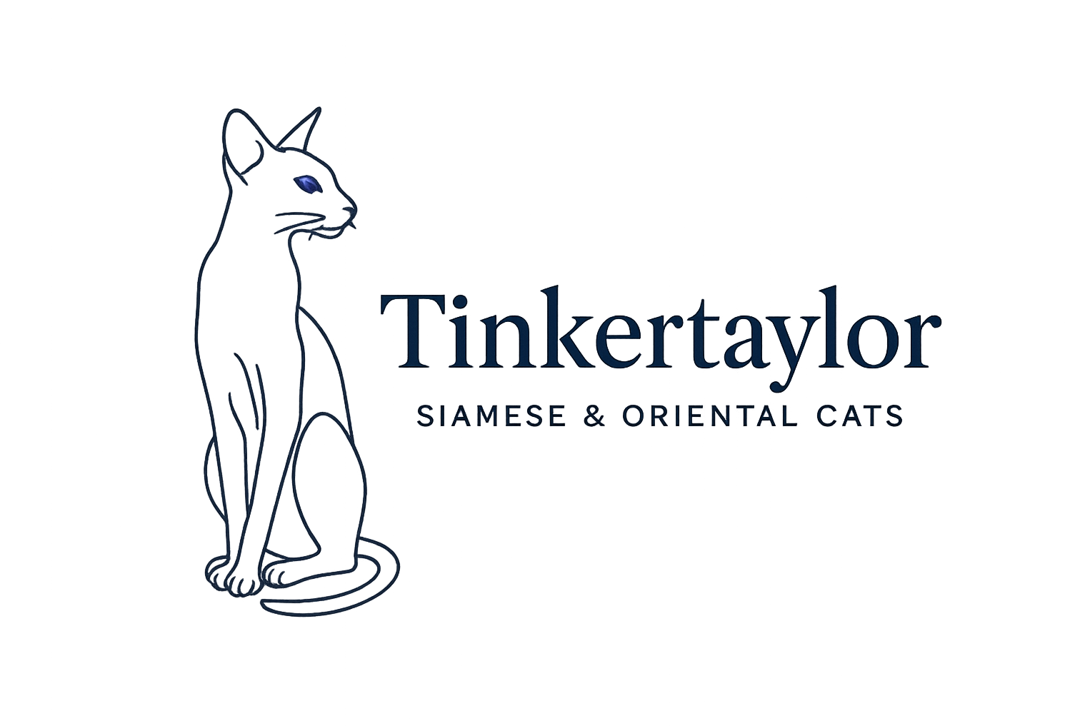 Tinkertaylor Siamese & Oriental Cats