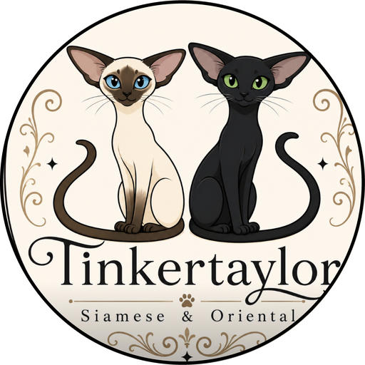 Tinkertaylor Siamese & Oriental Cats